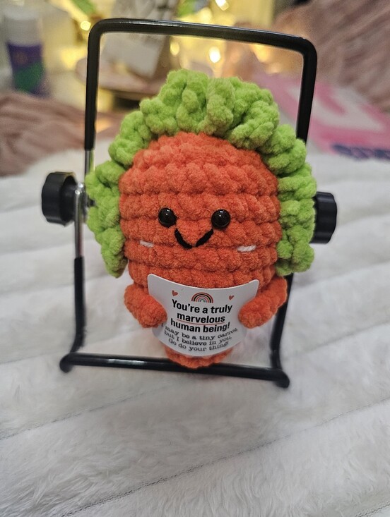 Other - Cute Carrot Gift